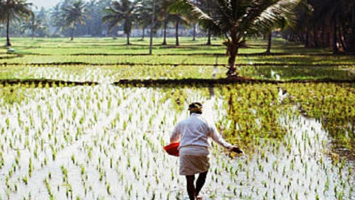 Rajeev gandhi nyay yojana
