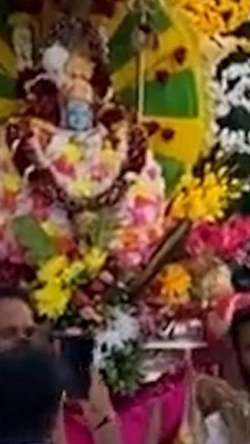 Mahakal Sawari in Udaipur: यहां निकली उज्जैन की तर्ज पर महाकाल की सवारी