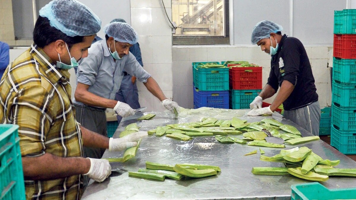 Food Processing Unit care