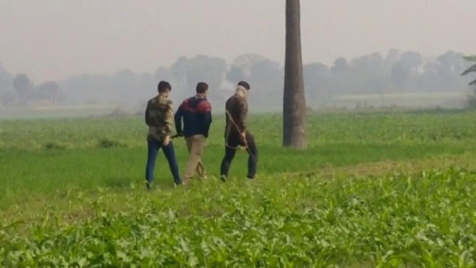 बिहार में 'अनोखा Encounter', कुत्तों को मारने के लिए पटना से पहुंचे शूटर, 12 कुत्तों को मार गिराया