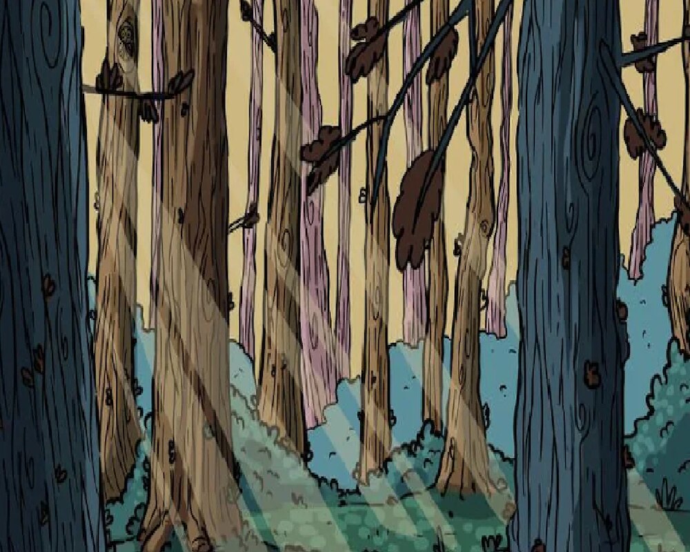 Optical Illusion Quiz