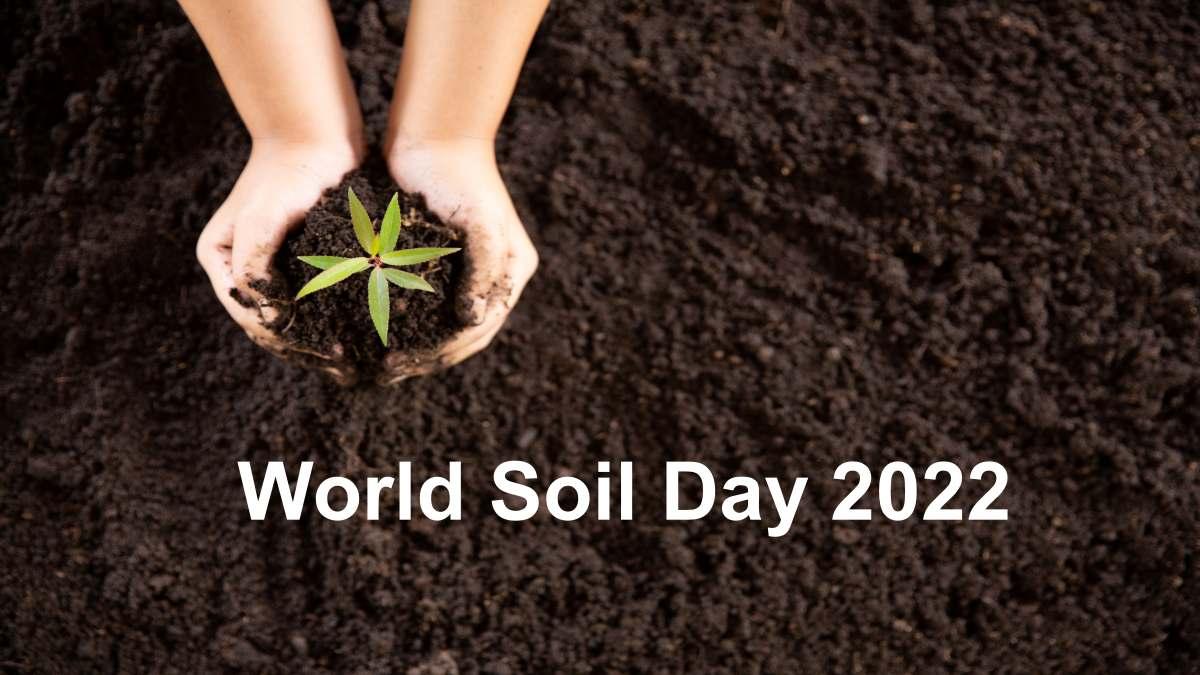 World Soil Day 2022 (Image Source: Freepik.com)