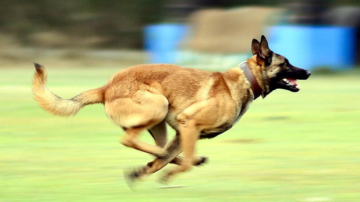 प्रतीकात्मक तस्वीर