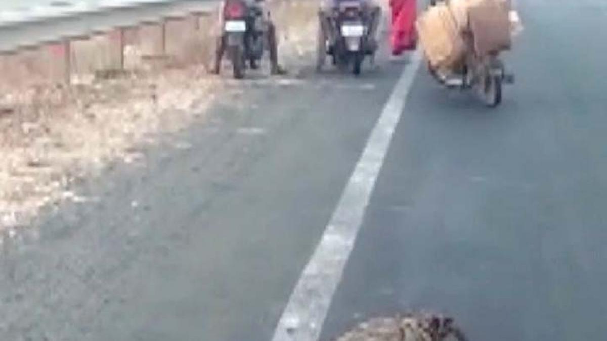 Crocodile comes on road in Karnataka, people get panic