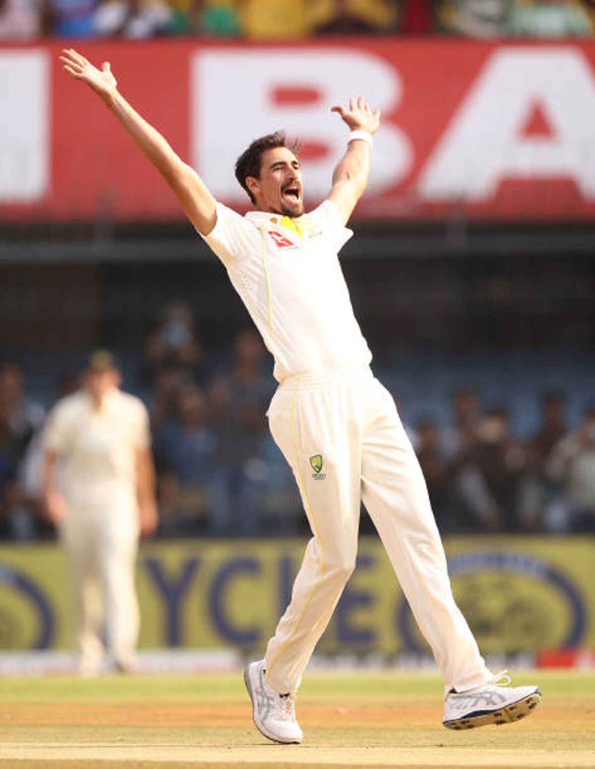 मिचेल स्टार्क