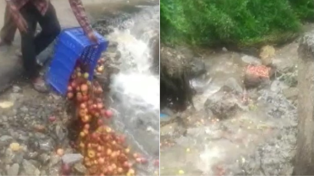 नाले में सेब बहाते बागवान