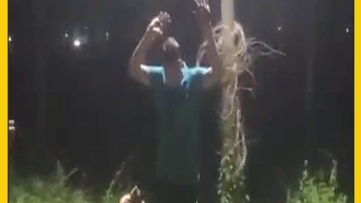 Indian Army Dog Kent