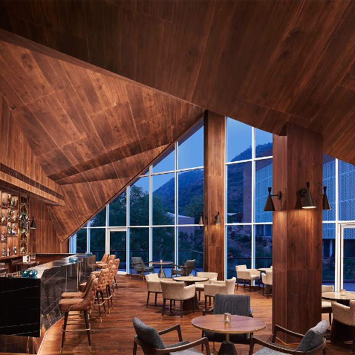 ताज अरावली