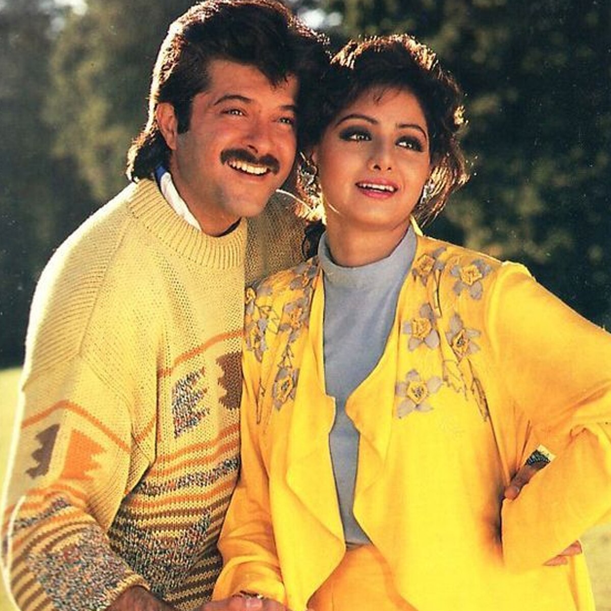 अनिल कपूर, श्रीदेवी