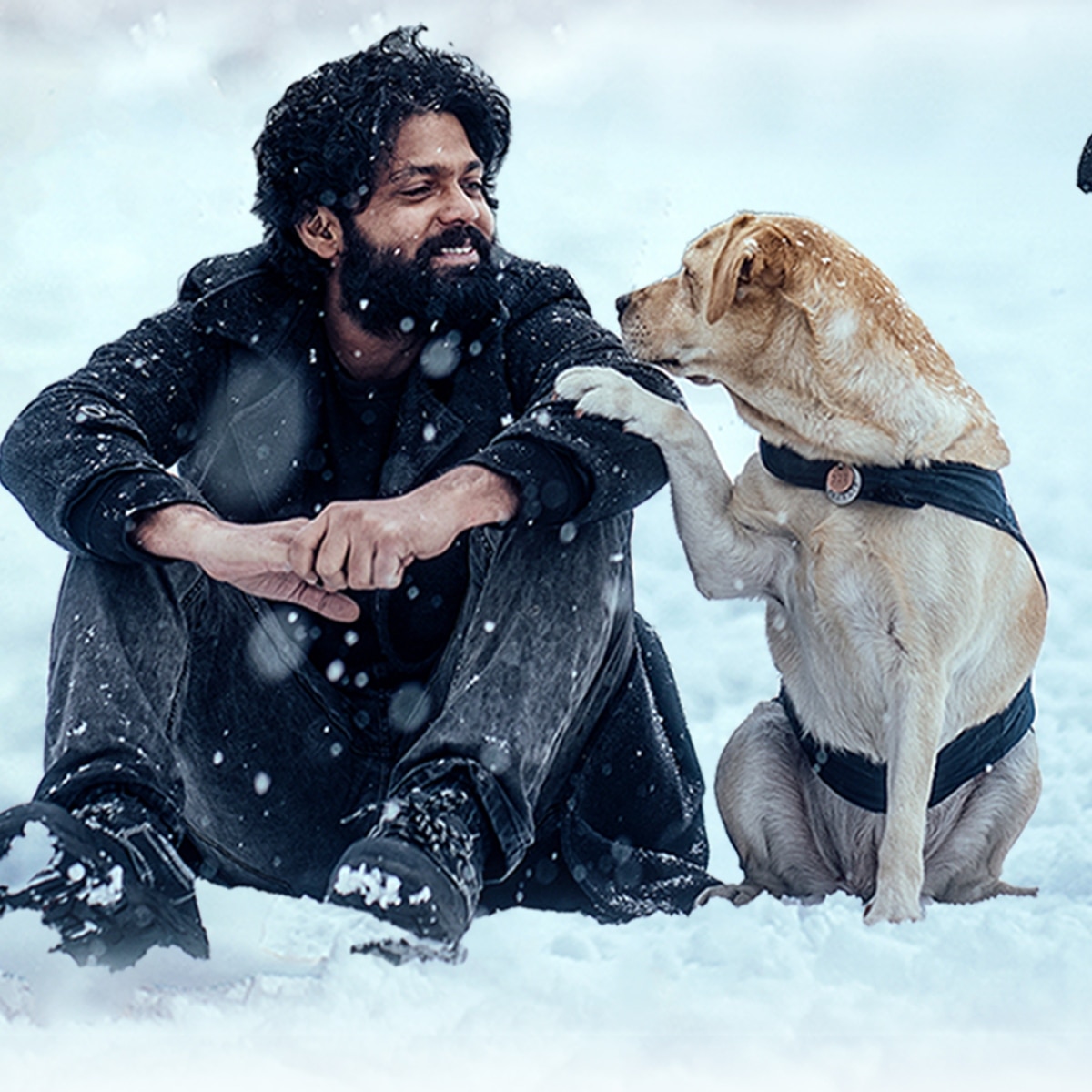  इंटरनेशनल डॉग डे आज (Photo: Instagram @rakshitshetty)