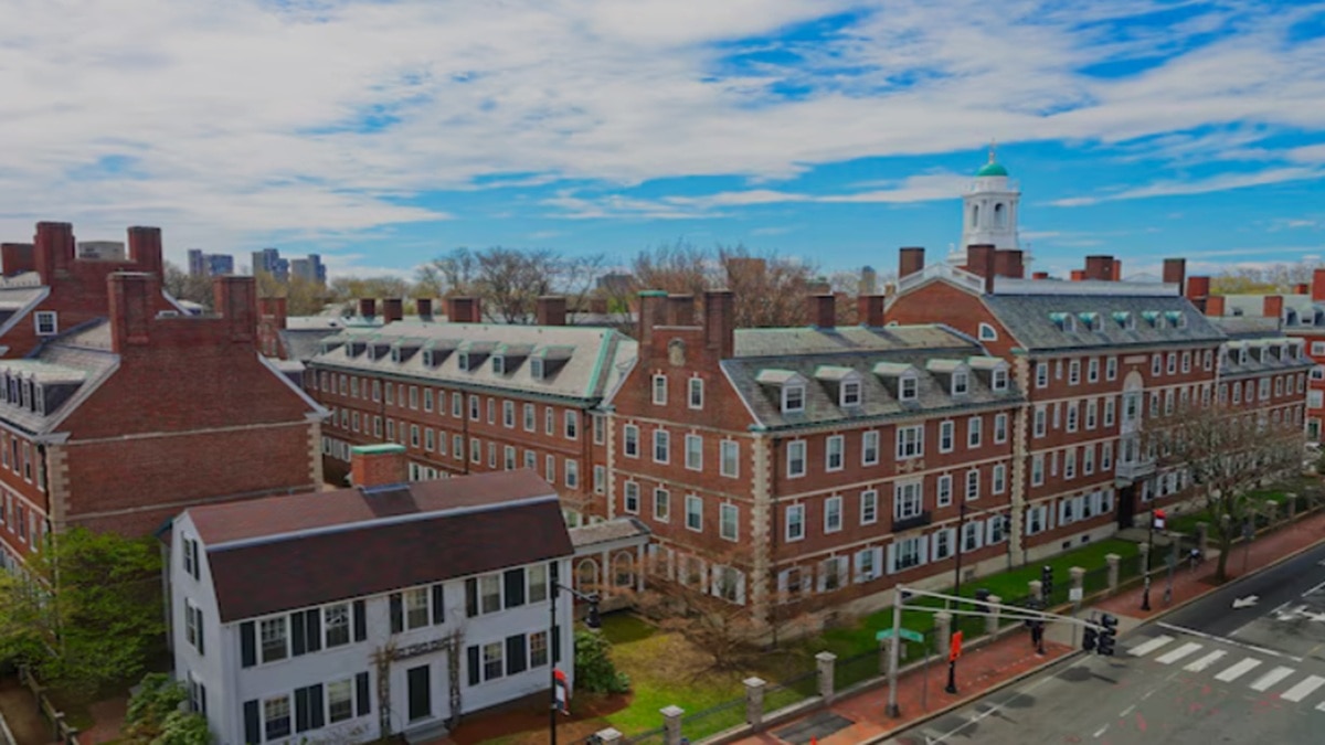 harvard university
