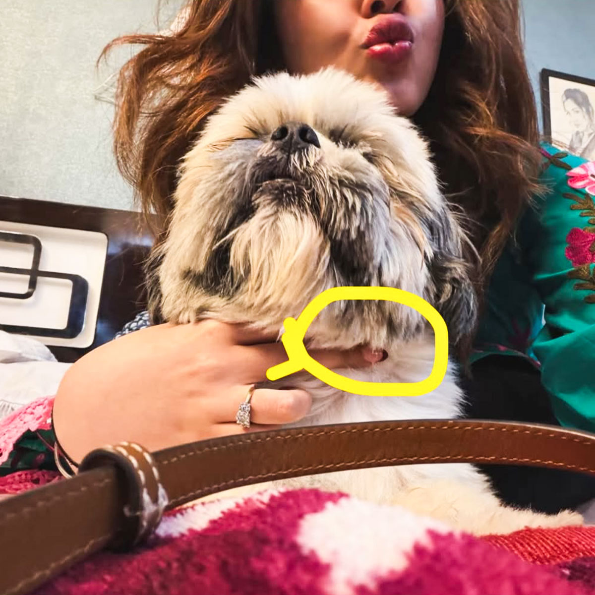 अर्शदीप-सिमरन