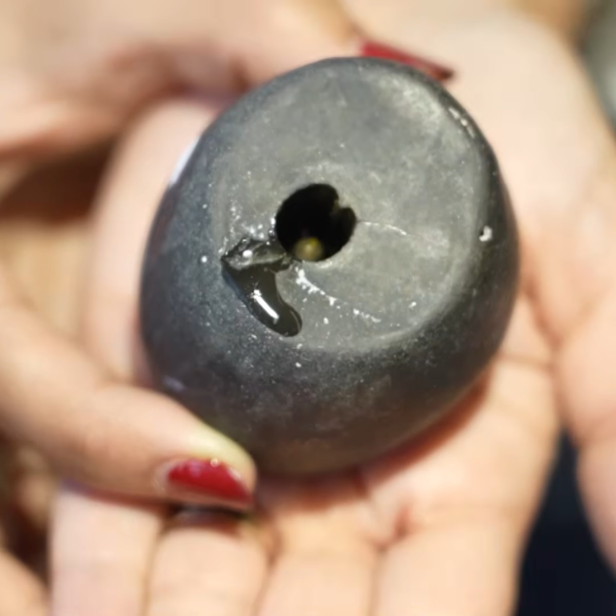 शिव की भक्त हैं रेमो डिसूजा की कैथोलिक पत्नी लिजेल