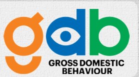 सकल घरेलू व्यवहार