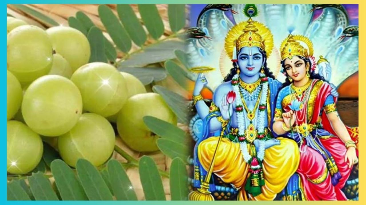 अक्षय या आंवला नवमी