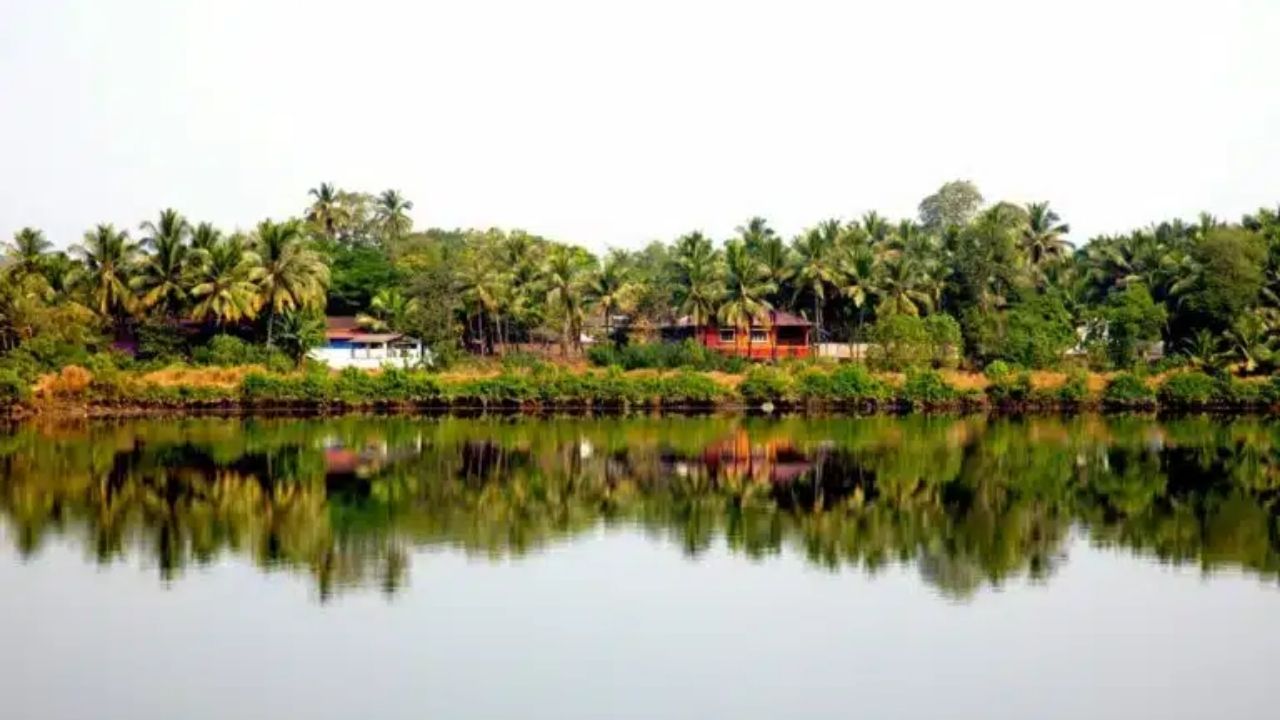 एल्डोना
