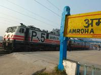 अमरोहा