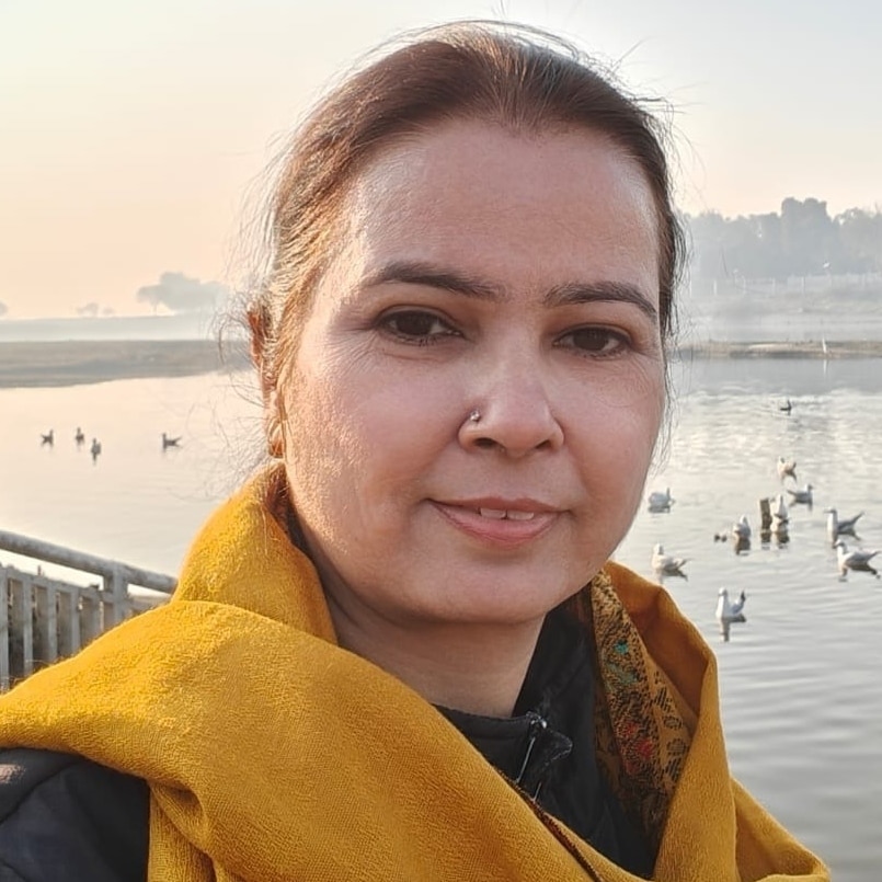 अंशु पारीक