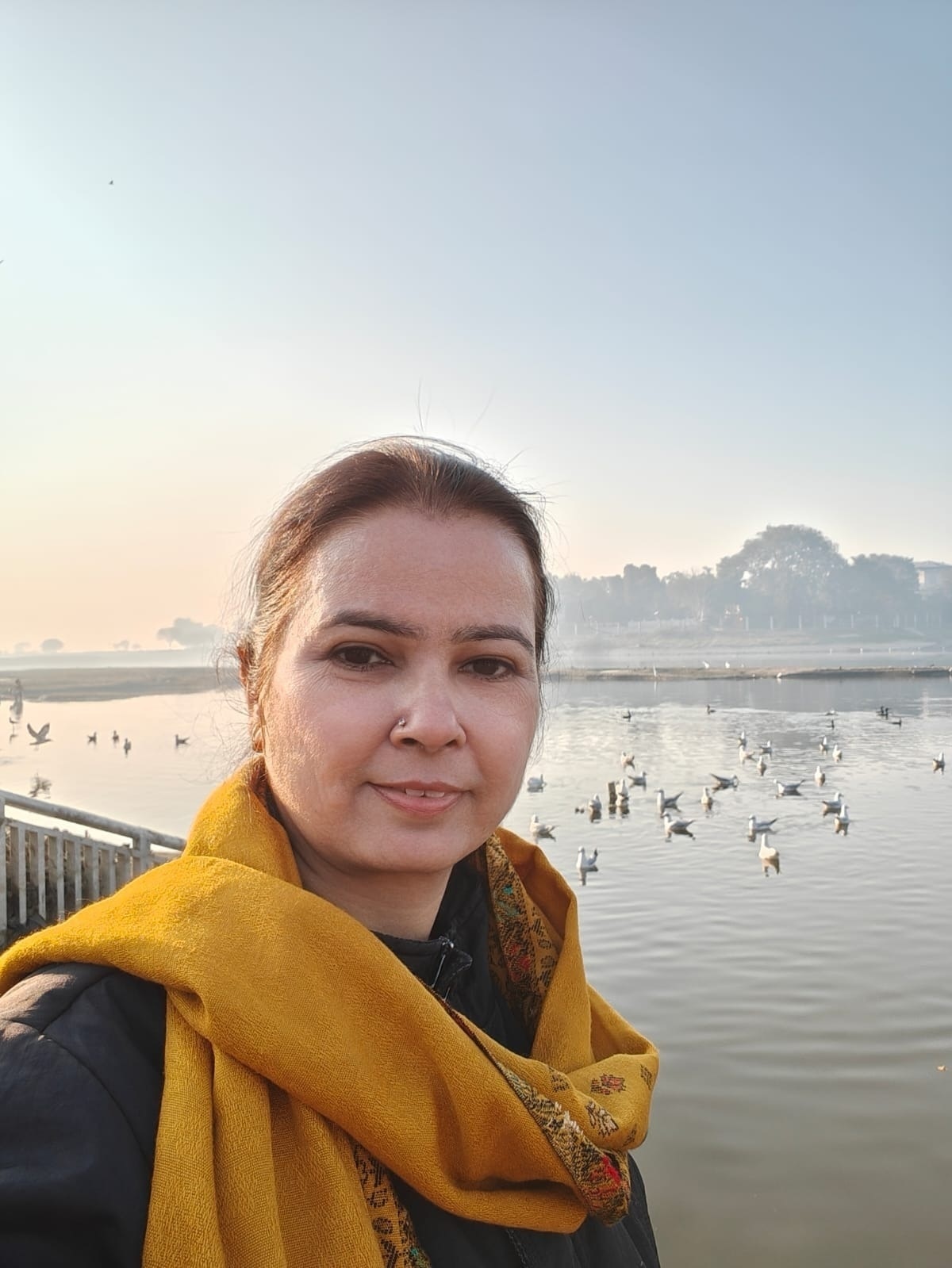 अंशु पारीक