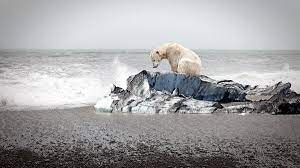 आर्कटिक