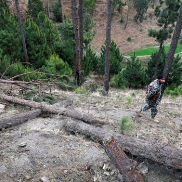 बालाकोट हवाई हमला
