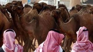 कैमल फ्लू