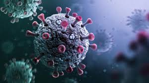 चांदीपुरा वायरस