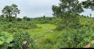 चराइदेव