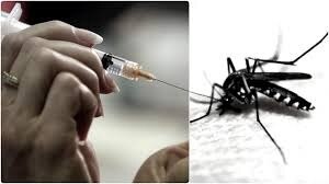 चिकनगुनिया