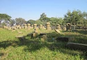 दीमापुर