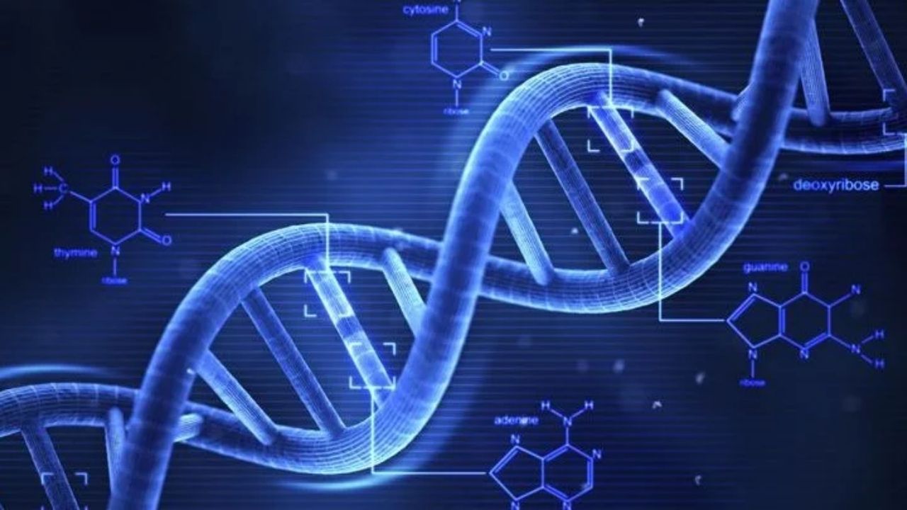 डीएनए