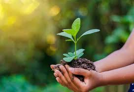 विश्व पर्यावरण दिवस