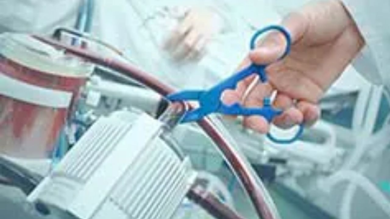 इच्छामृत्यु