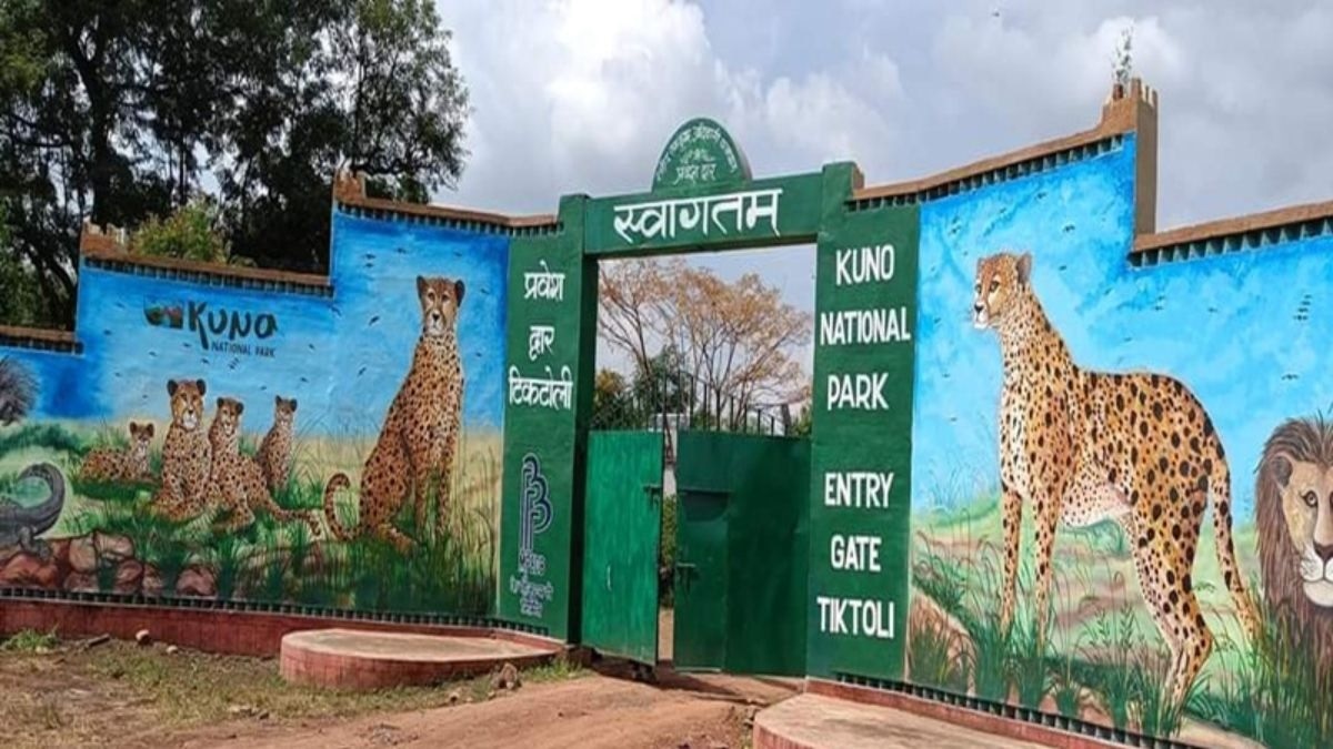 कूनो नेशनल पार्क