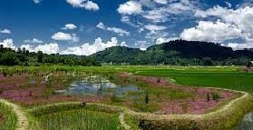 निचला सुबनसिरी