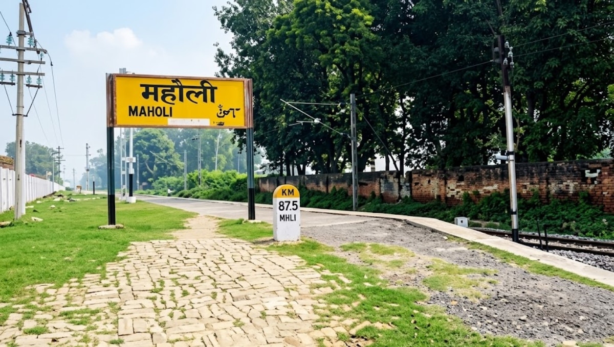 महोली