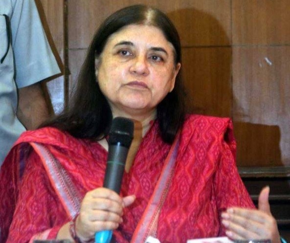 मेनका गांधी