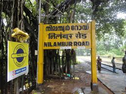 निलंबूर