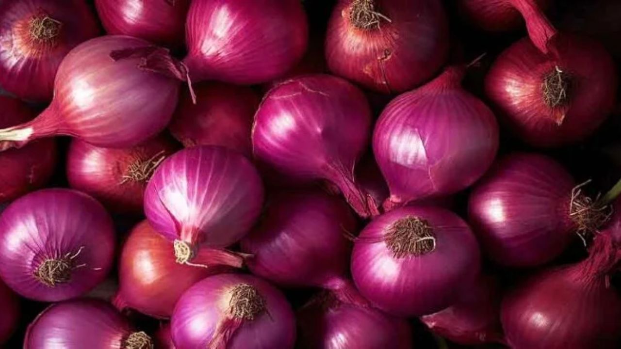 प्याज