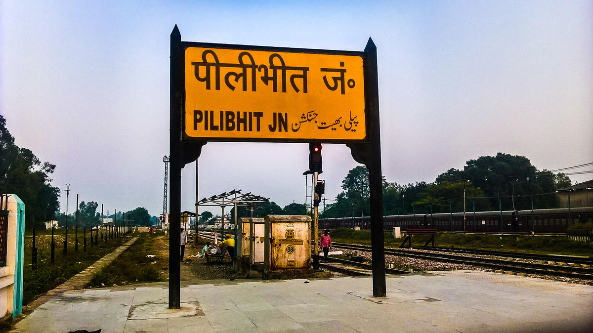 पीलीभीत