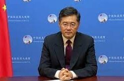 किन गैंग