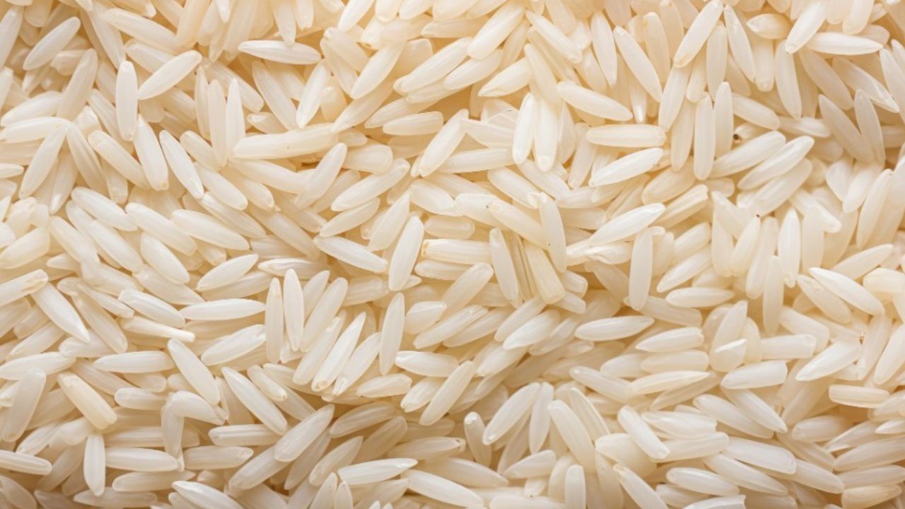 चावल