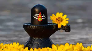 सावन शिवरात्रि