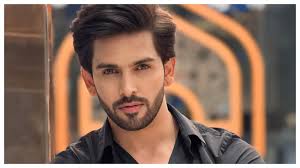 शहजादा धामी