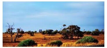 दक्षिण ऑस्ट्रेलिया