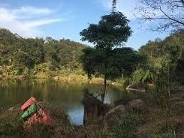 दक्षिण शालमारा मानकाचर