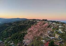 जुन्हेबोटो