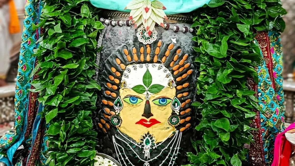 हरियाली अमावस्या व्रत कथा