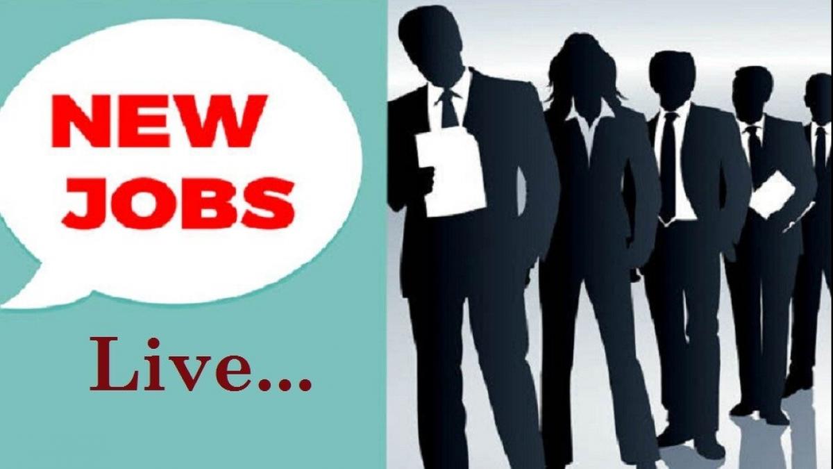 Sarkari Naukri 2020, Government Jobs 