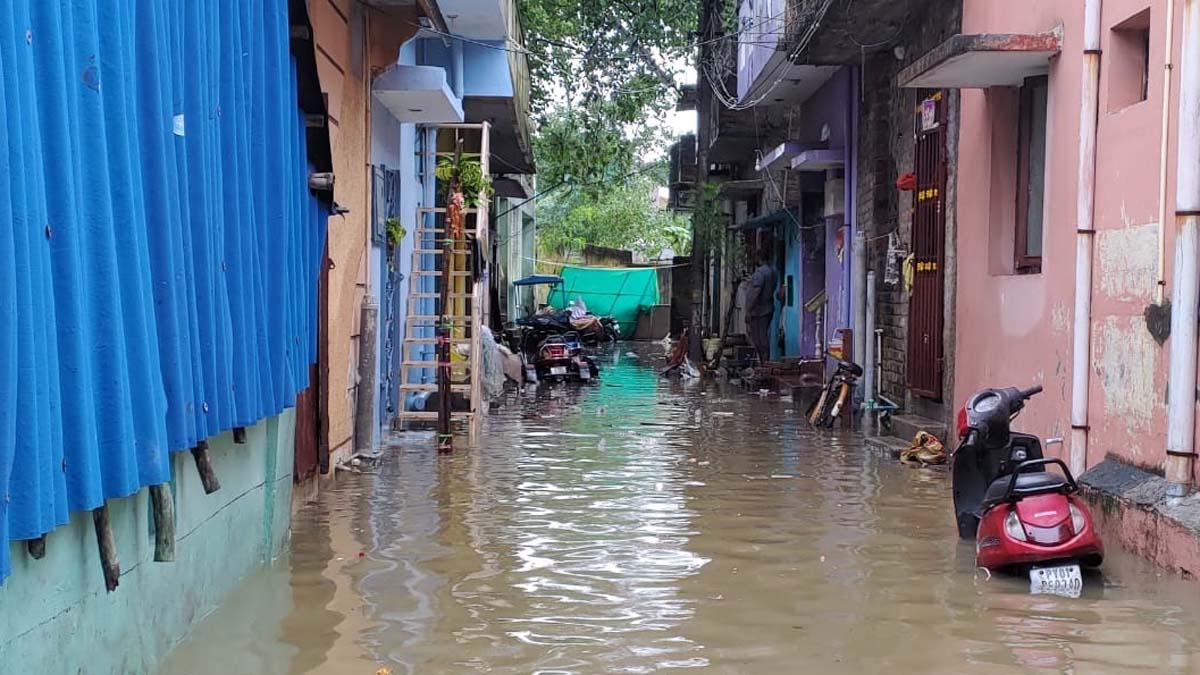 निवार तूफान की तबाही